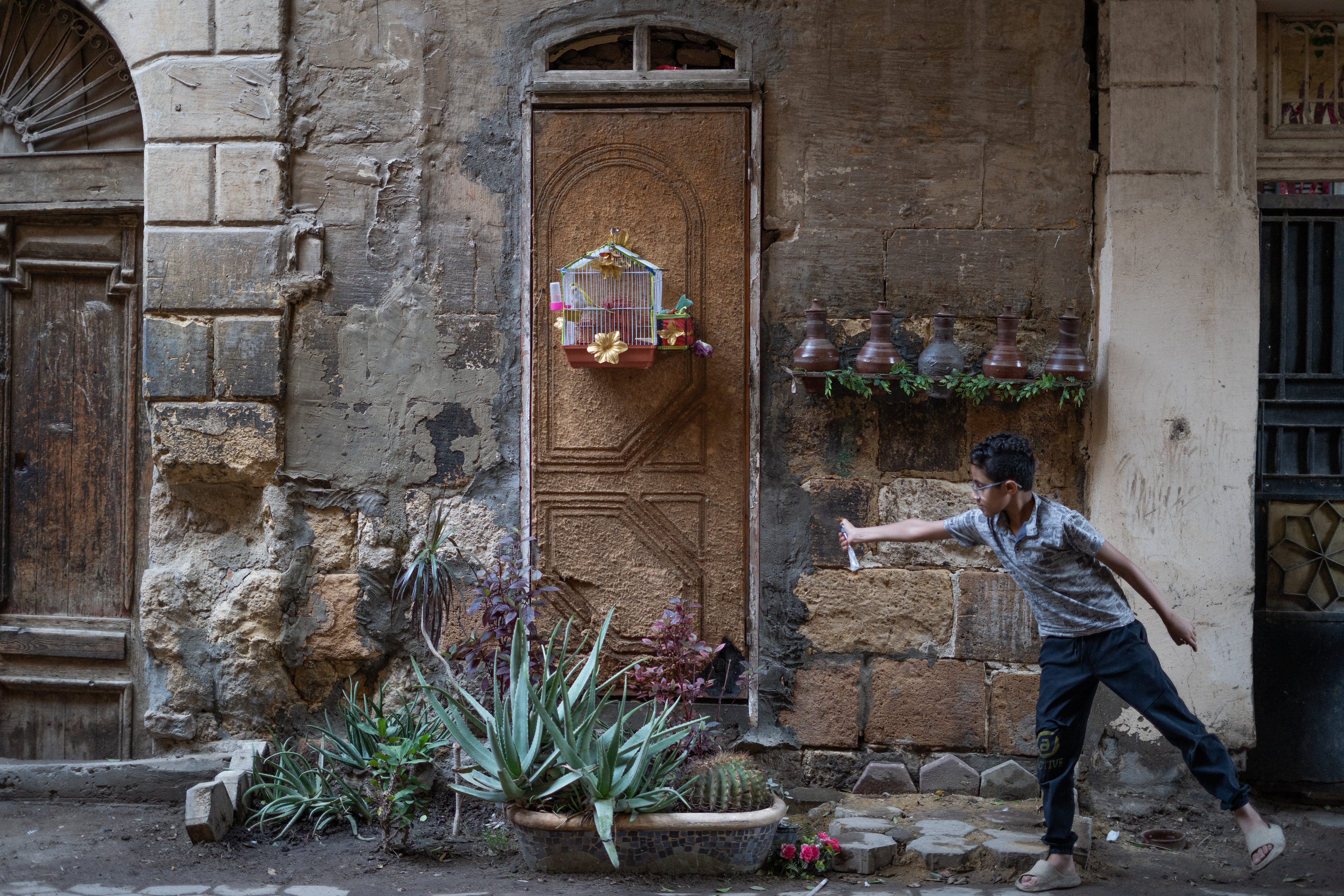 Five ullal sit on a metal shelf decorated with artificial greenery, affixed to an exterior masonry wall. A colorful birdcage with two birds is also hanging from the wall. In the foreground, a boy waters a collection of plants, many of which are succulents.